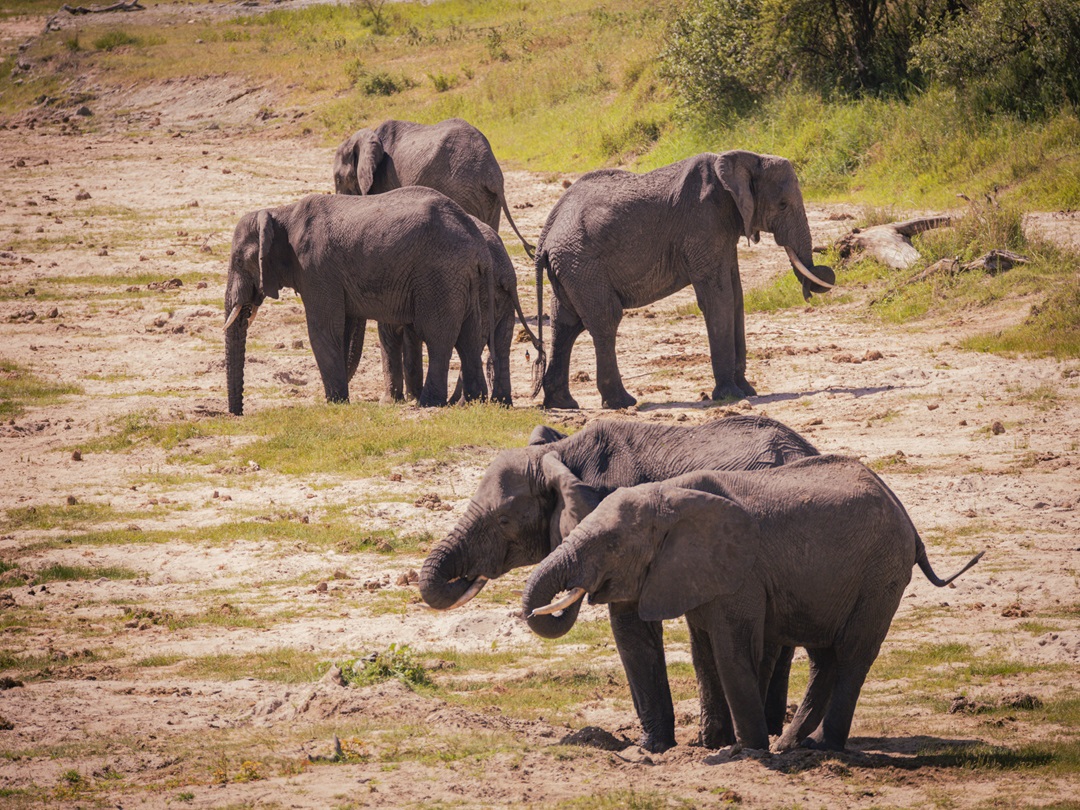 Tarangire National Park